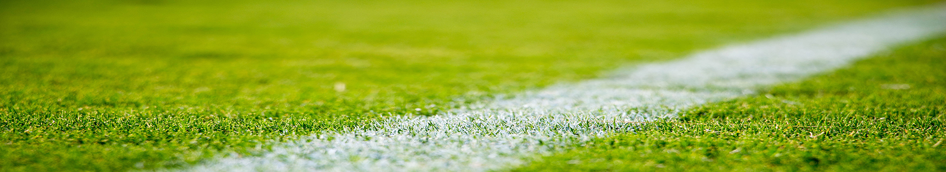 黑龍江硅PU材料